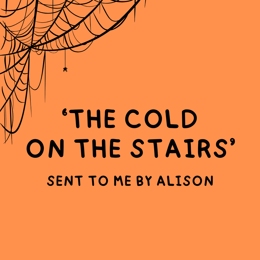 The cold on the stairs - Sent by Alison on Tik Tok